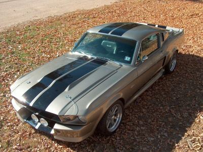 mustang.jpg mustang.jpg